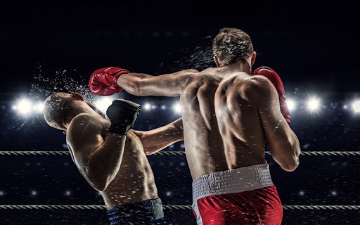 Kick-boxing- môn thể thao của sự thời thượng - Tân Việt - Võ Phục và Dụng Cụ Võ Thuật