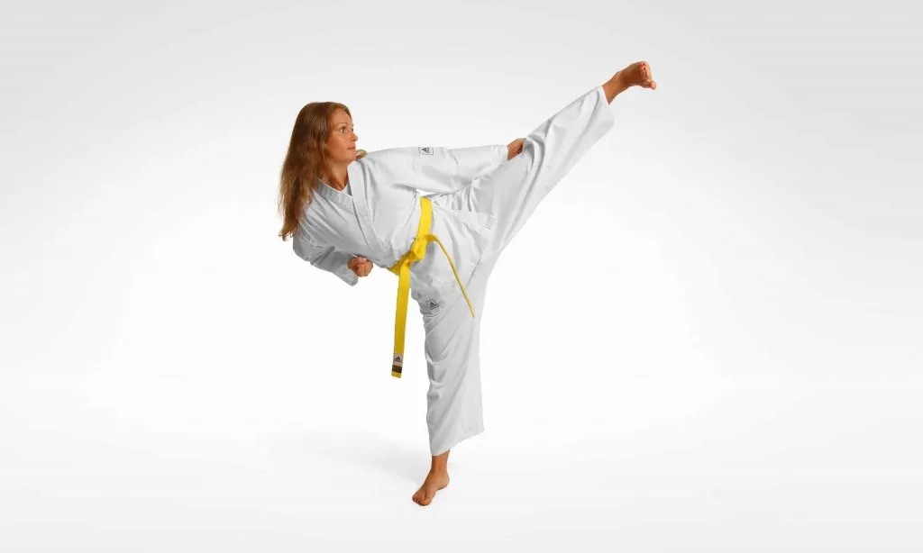 6 Hệ Phái Nổi Tiếng Nhất Của Karate Bạn Nên Biết - Tân Việt - Võ Phục và Dụng Cụ Võ Thuật