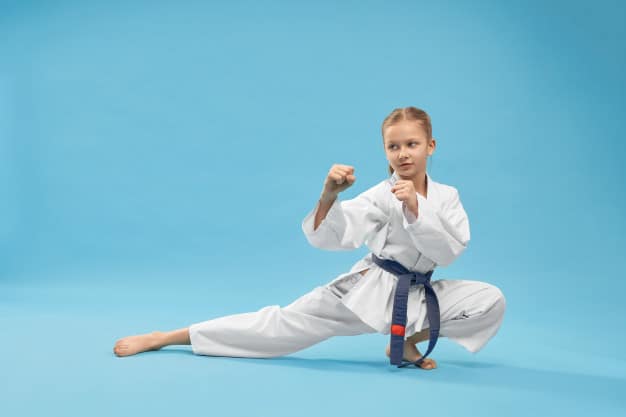 6 Hệ Phái Nổi Tiếng Nhất Của Karate Bạn Nên Biết - Tân Việt - Võ Phục và Dụng Cụ Võ Thuật